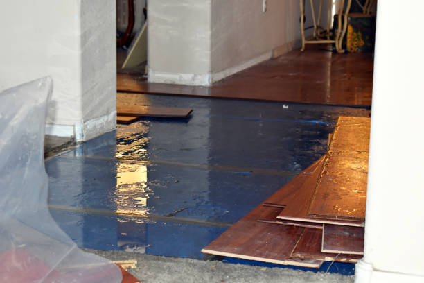 Professional Emergency Water Damage Restoration technician working in Almont, MI