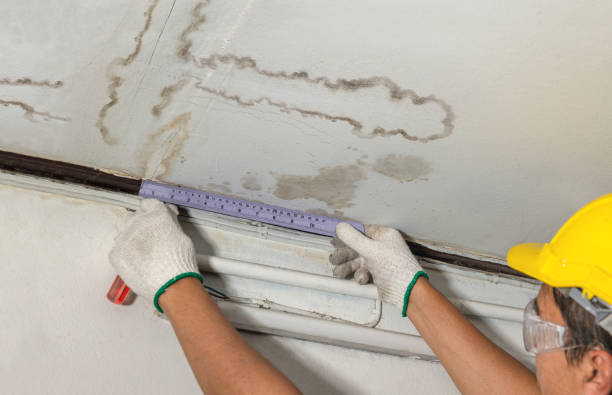 Reliable Emergency Water Damage Restoration contractor in Almont, MI by Water Damage Irwin